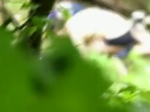 Секс порно браттисис русский перевод русские субтитры