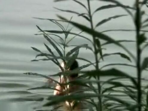 Секс порно брат накащал сестренку за прогулы