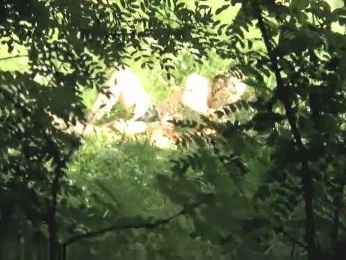 Секс дрочит мужу перед сном