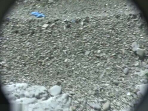 Порно нарезки мама учит сосать дочь