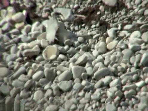 Порно кастинг мама учит дочь