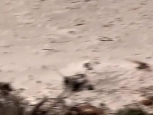 Порно в жопу малышек с тату