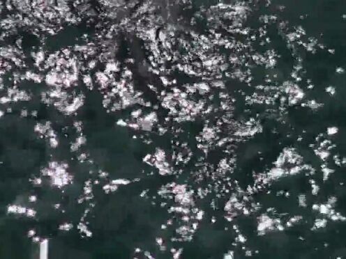 Знакомства для секса в воронеж отзывы