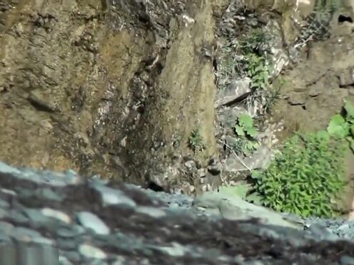 Оральный секс с куклой отзывы