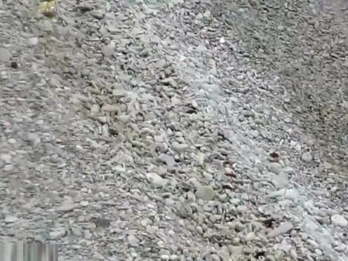 Секс в трейлере за стеклом