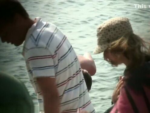 Сектор газа ангел секса слушать онлайн