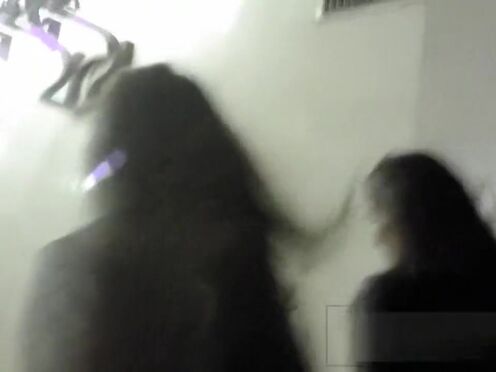 Секс между свиньями