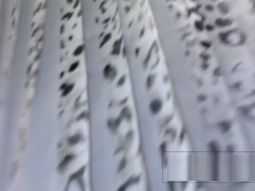 Долго трахал малышку секс