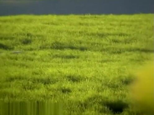 Порно видео онлайн юные азиатки без цензуры