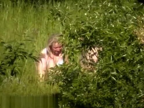 Порно видео онлайн света сосет член