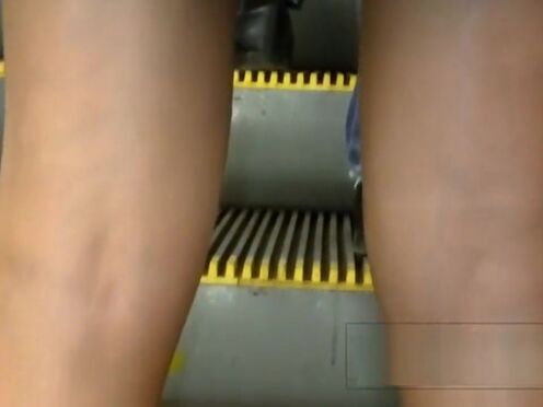 Невеста медведь племянница секс