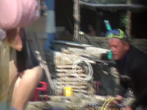 Порно видео негры минет нарезка