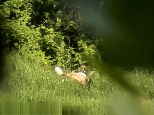 Порно видео жадно трахает во все дырки