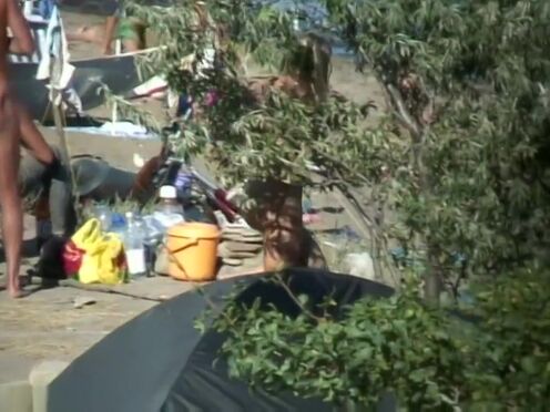 Порно видео дедушки медведи геи извращения