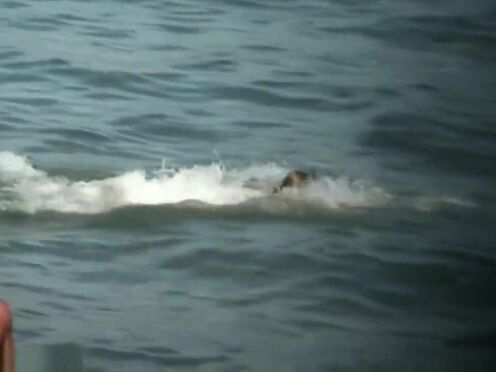 Порно видео в транспорте в росси