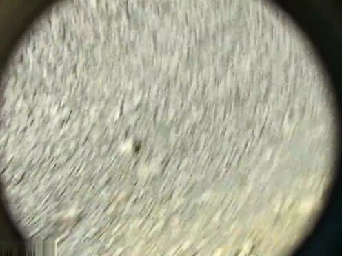 Порно видео бесплатно онлайн брат закрытыми глазами