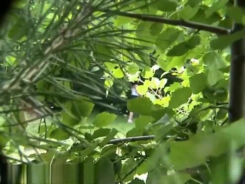 Отчет для господина публичное место порно