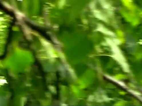 Обвисшие сиськи в сауне порно видео