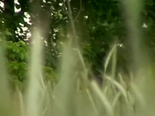 Новейшее би порно разных категорий