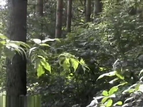 Насилуют женщину в фашистской форме порно