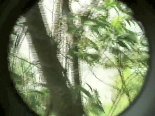 Молодежное секс с полненькими девчонками порно видео