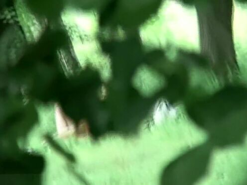 Лучшие порно в мире полные