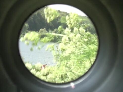 Кристал раш порно с разговорами