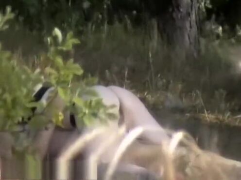 Короткие порно ролики в шд качестве