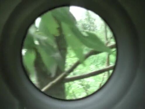 Корейские гимнастические порно подборка красиво мокрые письки