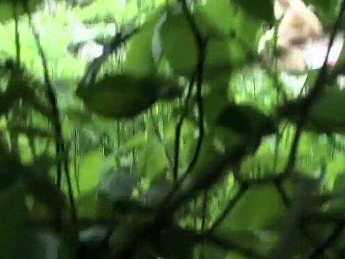 Кастинг фут фетиш порно видео