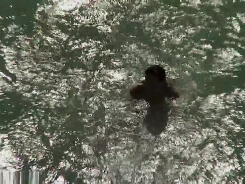 Голые ножки в босоножках порно