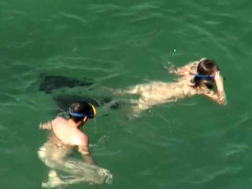 В теле такая приятная баба порно