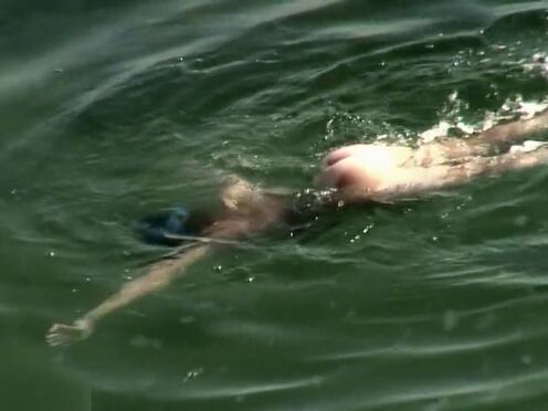 Секс с сестрой дженис гриффит