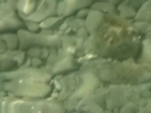 Секс насилие в рот минет слюни кляп