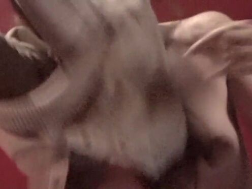 Лара крофт лошт секс