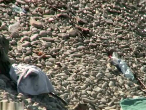 Форум о сексе папа меня научил