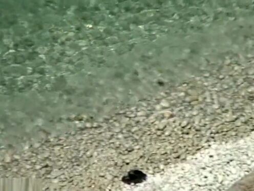 Секс голубого подростка с мужиком со стонами