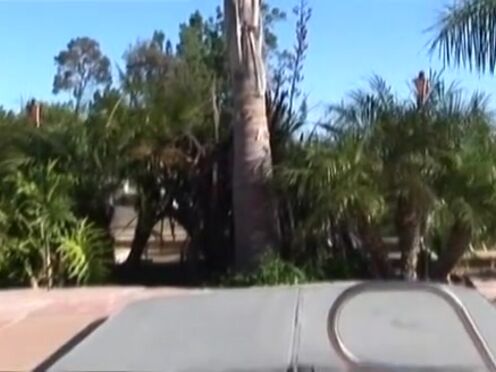 Во время тренировок и регби спортсмена трахнул