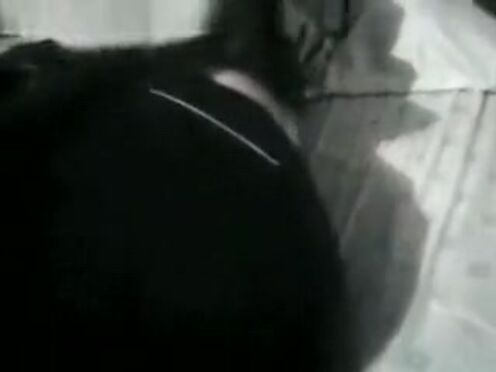 Самый первый секс в попу реально вебка