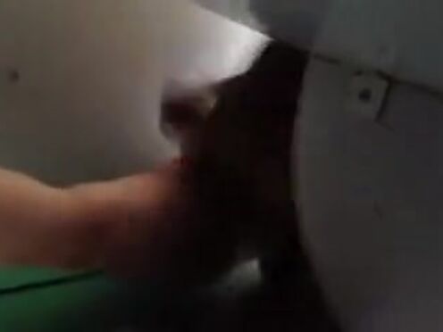 Порно с мобильного парень ебет трех девок