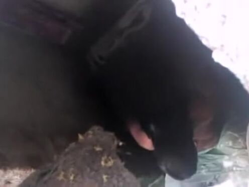 Порно русский фут фетиш зрелые лесби