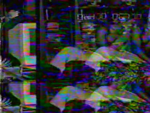 Порно видео марианне ферро нетворк