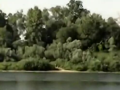 Молодые трахаются на свежем воздухе