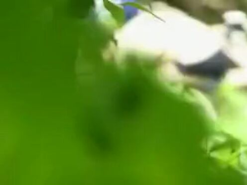 Реально длинные ноги секс кино