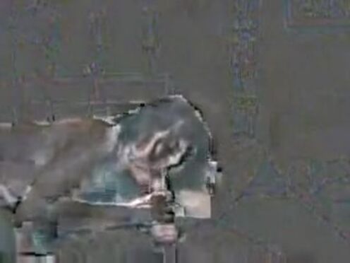 Позы при занятии сексом с использованием вибратора