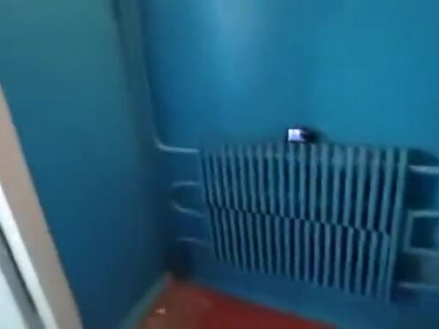 Подсмотрел за дрочкой и трахнул