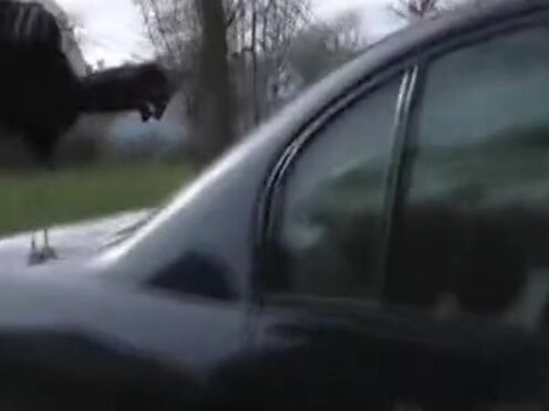 Секс с помощницей в примерочной