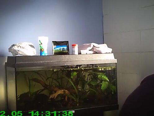 Самый дорогой секс в мире