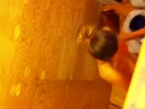 Порно видео самого жесткого секса