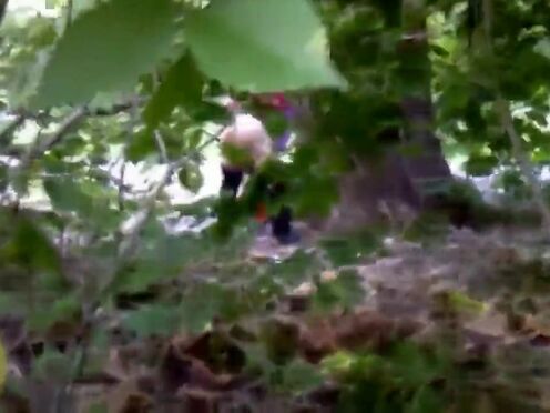 Метро звездная санкт петербург секс шоп контакты